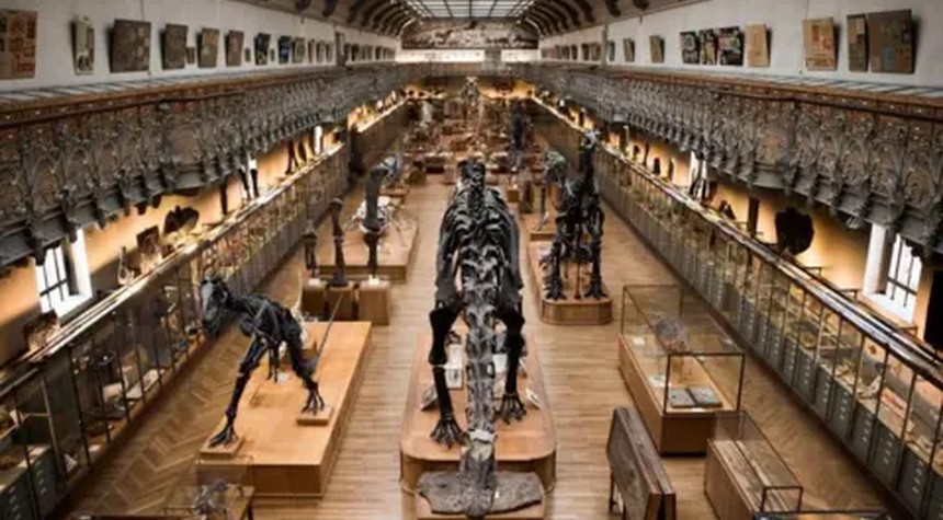 Paris Natural History Museum Gold Theft Reveals Critical Security Gaps