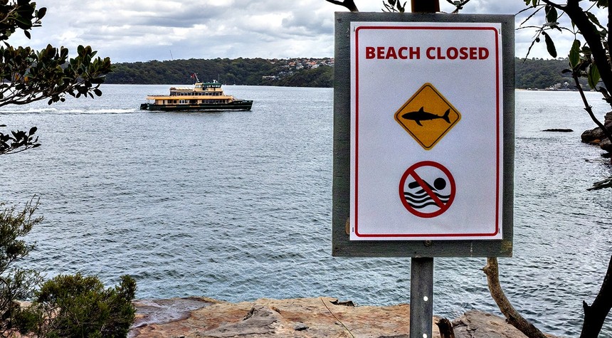Young Australian Boy Fights for Life After Sydney Harbor Shark Attack