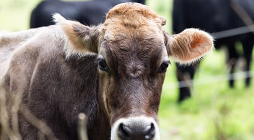 Dairy and Agriculture Leaders Say Iran War Could Eclipse COVID Supply Chain Crisis