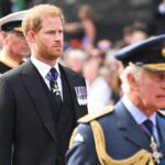 King Charles Follows Mother's Footsteps with Rare Address to Congress