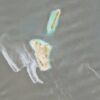 Maritime Intelligence Identifies New Suspected Oil Spill in Persian Gulf Waters