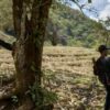 Violence Escalates in Guerrero as Criminal Organization Attacks Mountain Villages