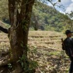 Violence Escalates in Guerrero as Criminal Organization Attacks Mountain Villages