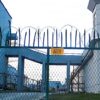 Uyghur Mother Recounts Detention and Loss in Chinese Prison System