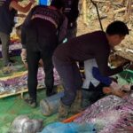 Four Gold Miners Rescued from Flooded Cave in Laos After Week-Long Ordeal