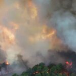 French Firefighters Deploy Aircraft to Combat Massive Blaze South of Capital