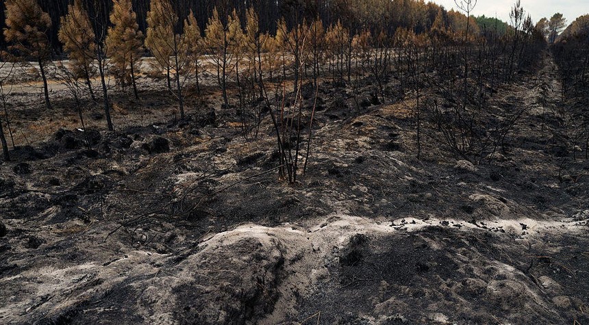 French Wildfires Threaten Bordeaux Wine Industry as Evacuations Continue
