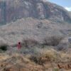 Five Americans Among Seven Dead in Kenya Helicopter Accident
