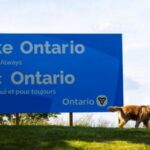Geographic Renaming Becomes Flashpoint in Escalating US-Canada Trade War