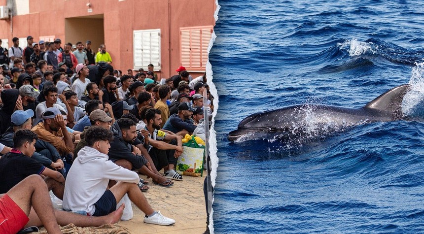 Dolphin Beaten to Death on Spanish Beach as Migration Crisis Intensifies
