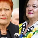 Questions Emerge Over Australian Senator's Policy Shift After Two Million Dollar Aircraft Gift