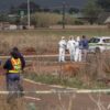 Nine Women Found Dead in Two Months Outside Johannesburg Amid Femicide Crisis