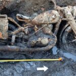 World War II Motorcycle Emerges from Budapest Harbor with Fallen Soldiers' Remains