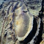 Research Team Claims Discovery of Noah's Ark Site in Eastern Turkey