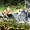 British Police Release Five Terror Suspects Near American Air Base Despite Finding No Explosives