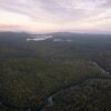 Private Donors Fund Purchase of 50,000-Acre Queensland Cattle Station for Wildlife Conservation