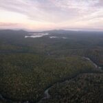 Private Donors Fund Purchase of 50,000-Acre Queensland Cattle Station for Wildlife Conservation